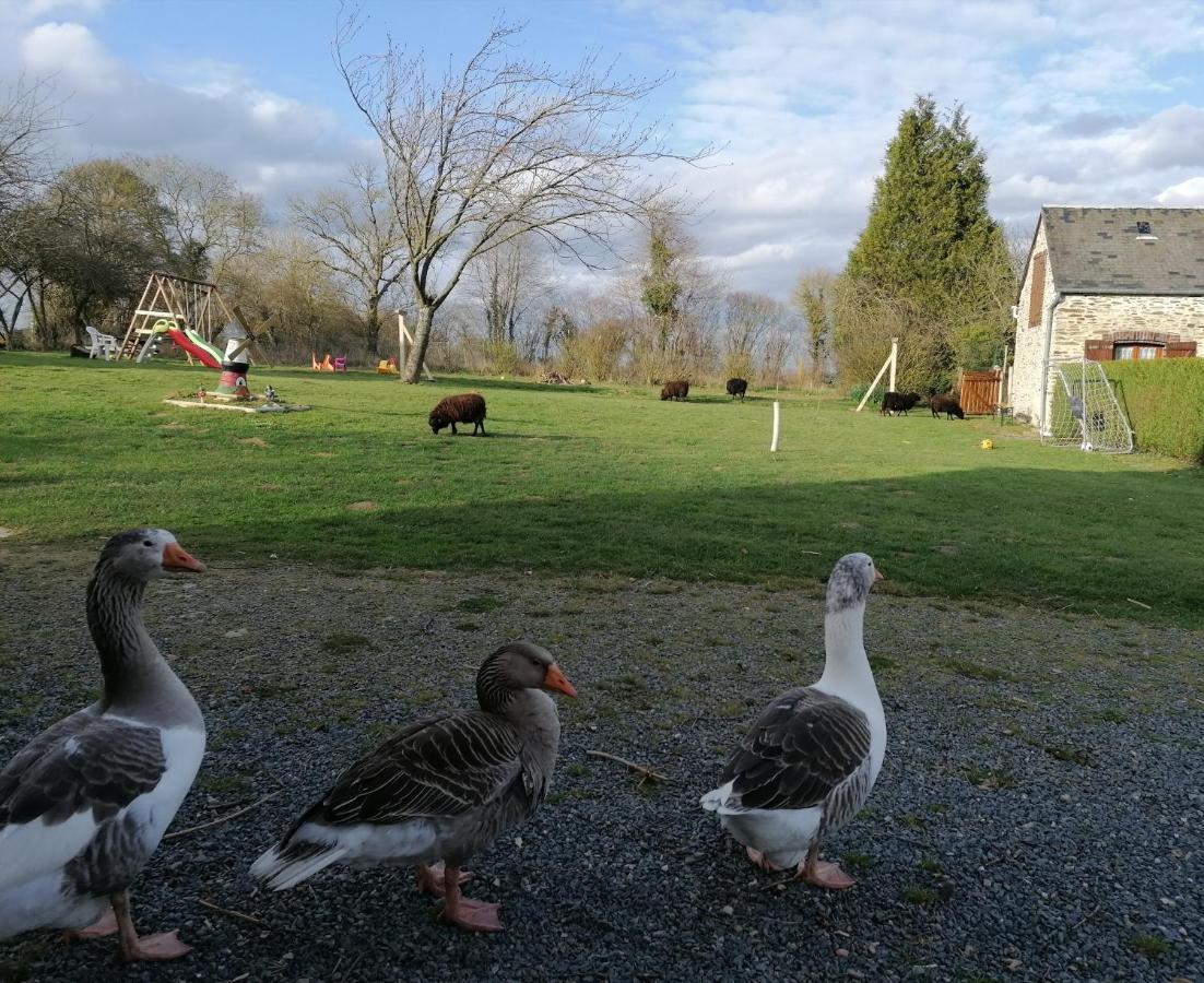 La Petite Boulangerie, chambre d'hôtes indépendante Vaubadon Esterno foto